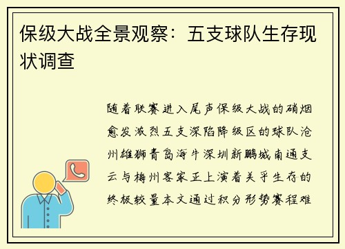 保级大战全景观察：五支球队生存现状调查